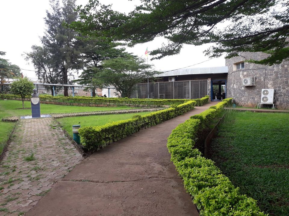 FMSB Building